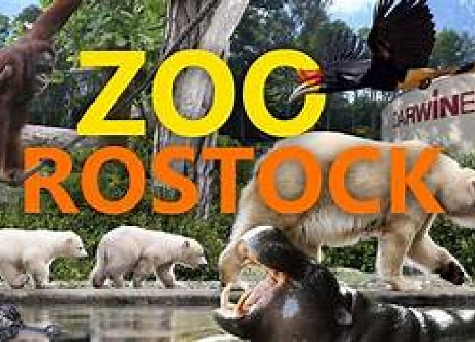 Zoo